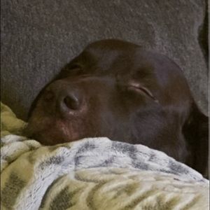 Meet your Posher, Paul